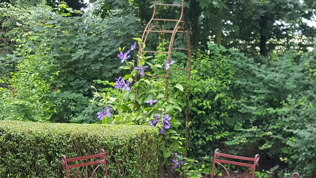 Photo of Outdoor in Dury