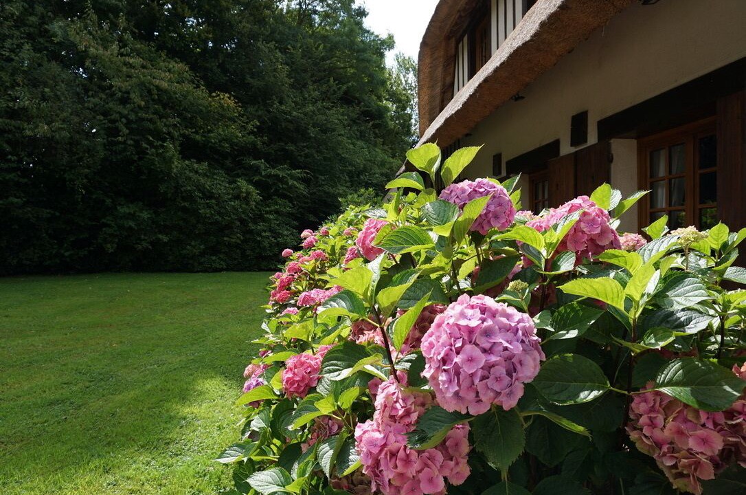 Photo of Outdoor in Manerbe