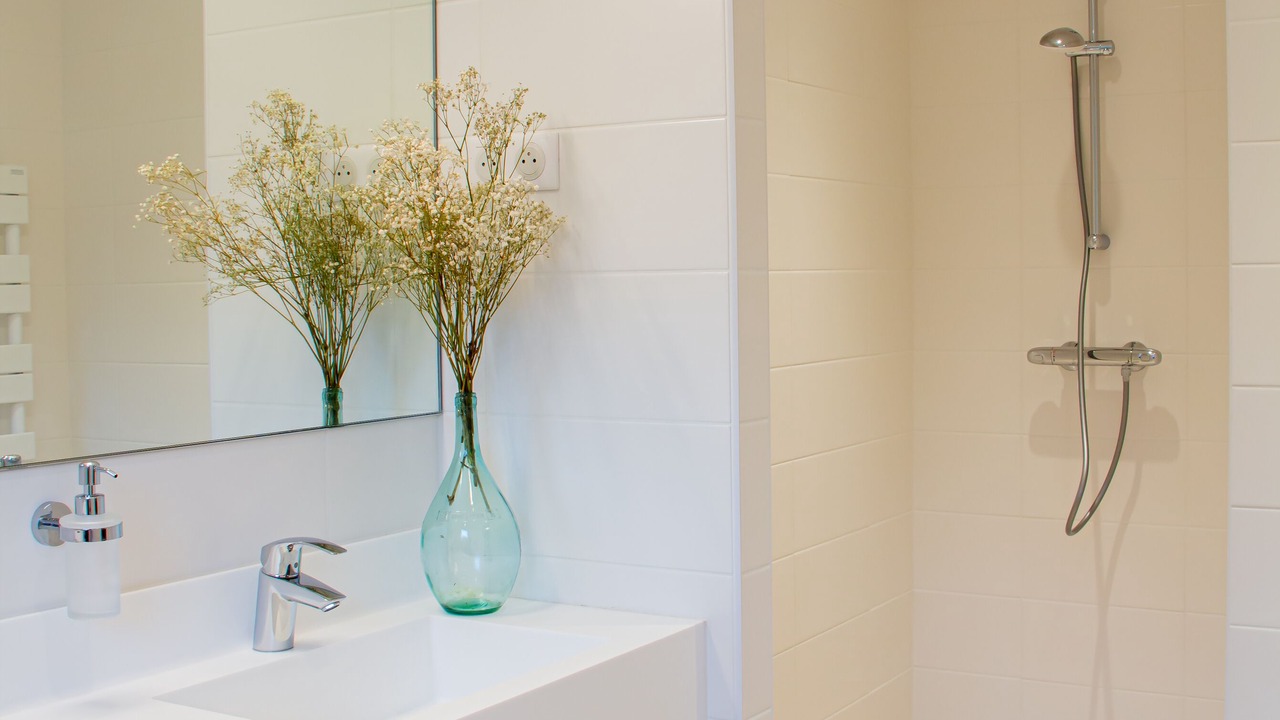 Photo of Bathroom in Montevrain