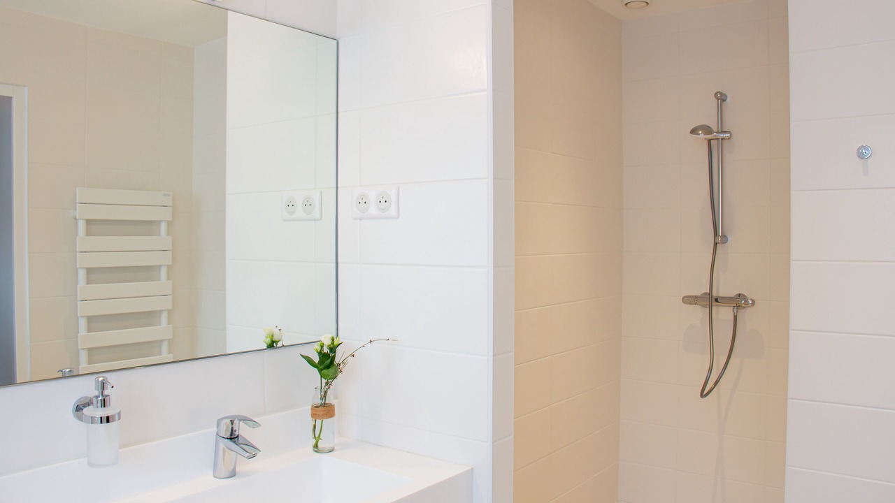 Photo of Bathroom in Montevrain