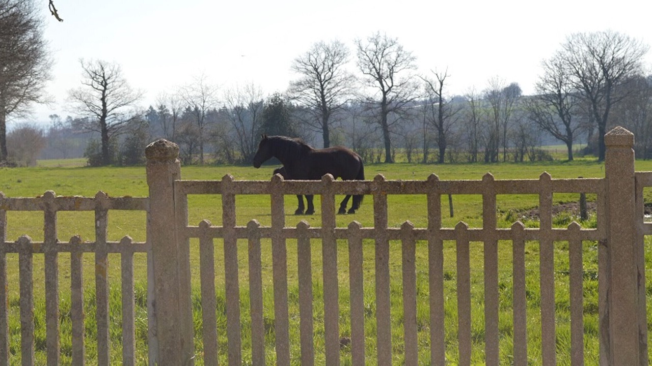 Photo of Outdoor in Montaiguet-en-Forez