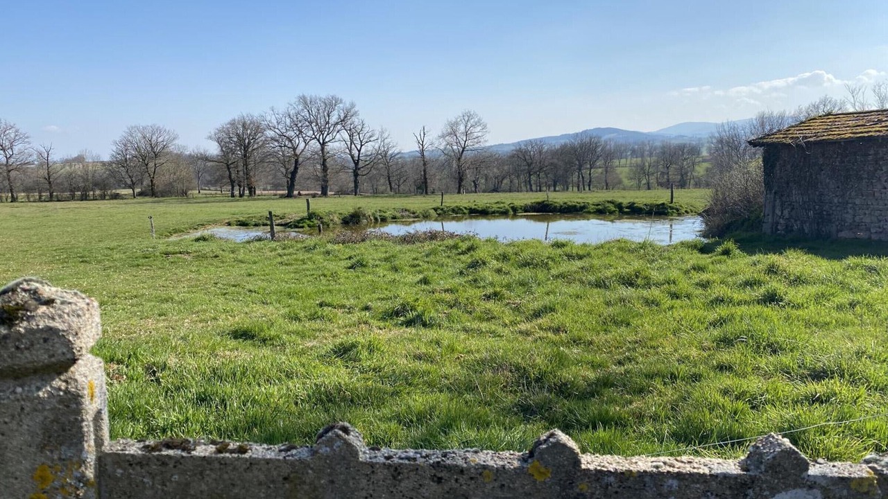 Photo of Outdoor in Montaiguet-en-Forez