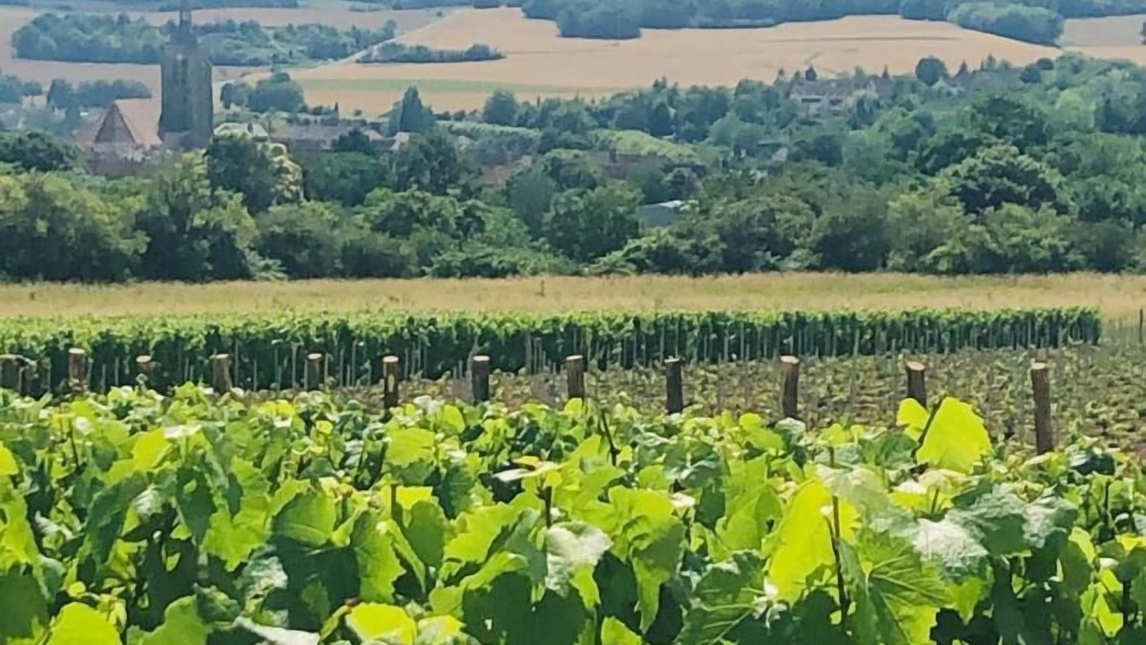 Photo of Outdoor in Villenauxe-la-Grande