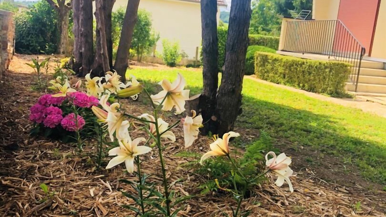 Photo of Outdoor in Villenauxe-la-Grande