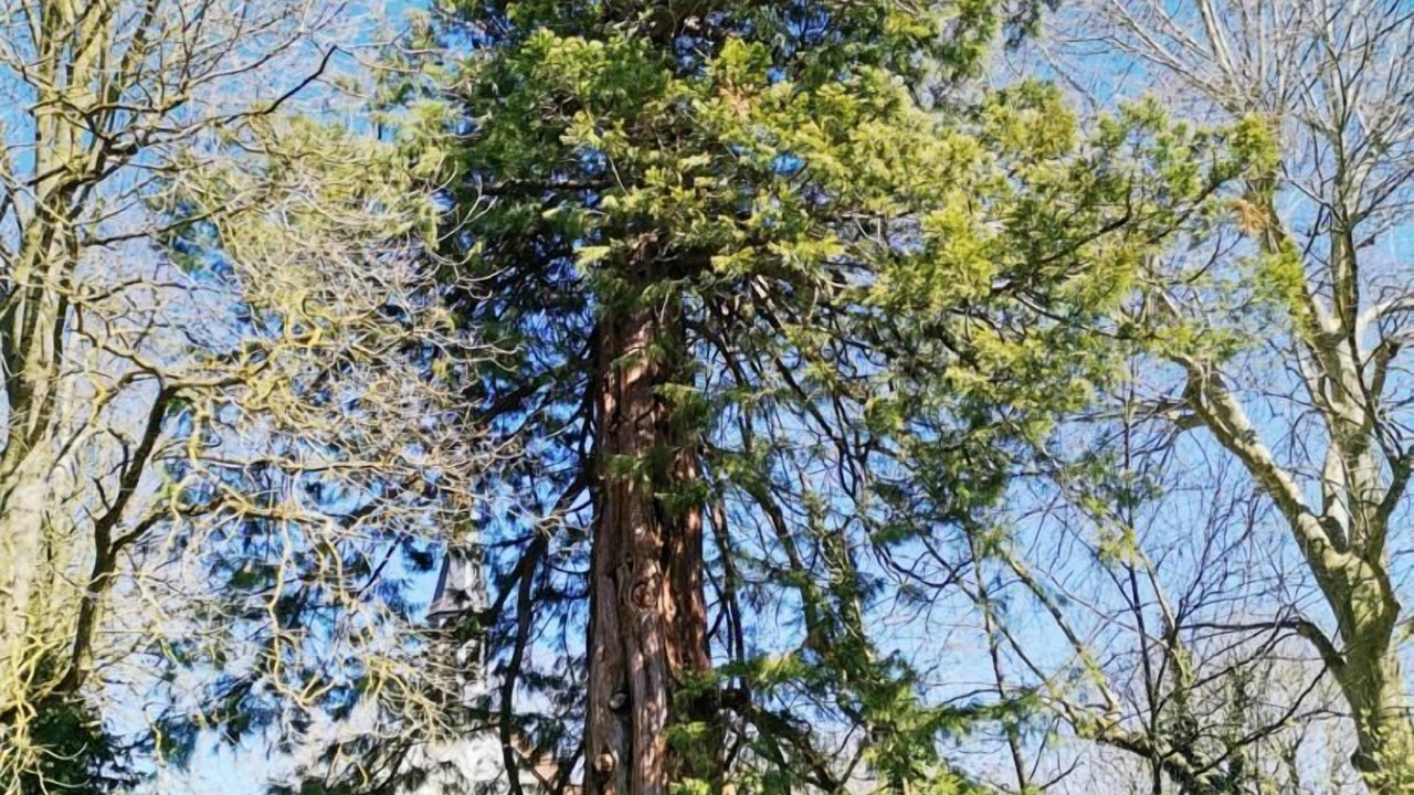 Photo of Outdoor in Dosches