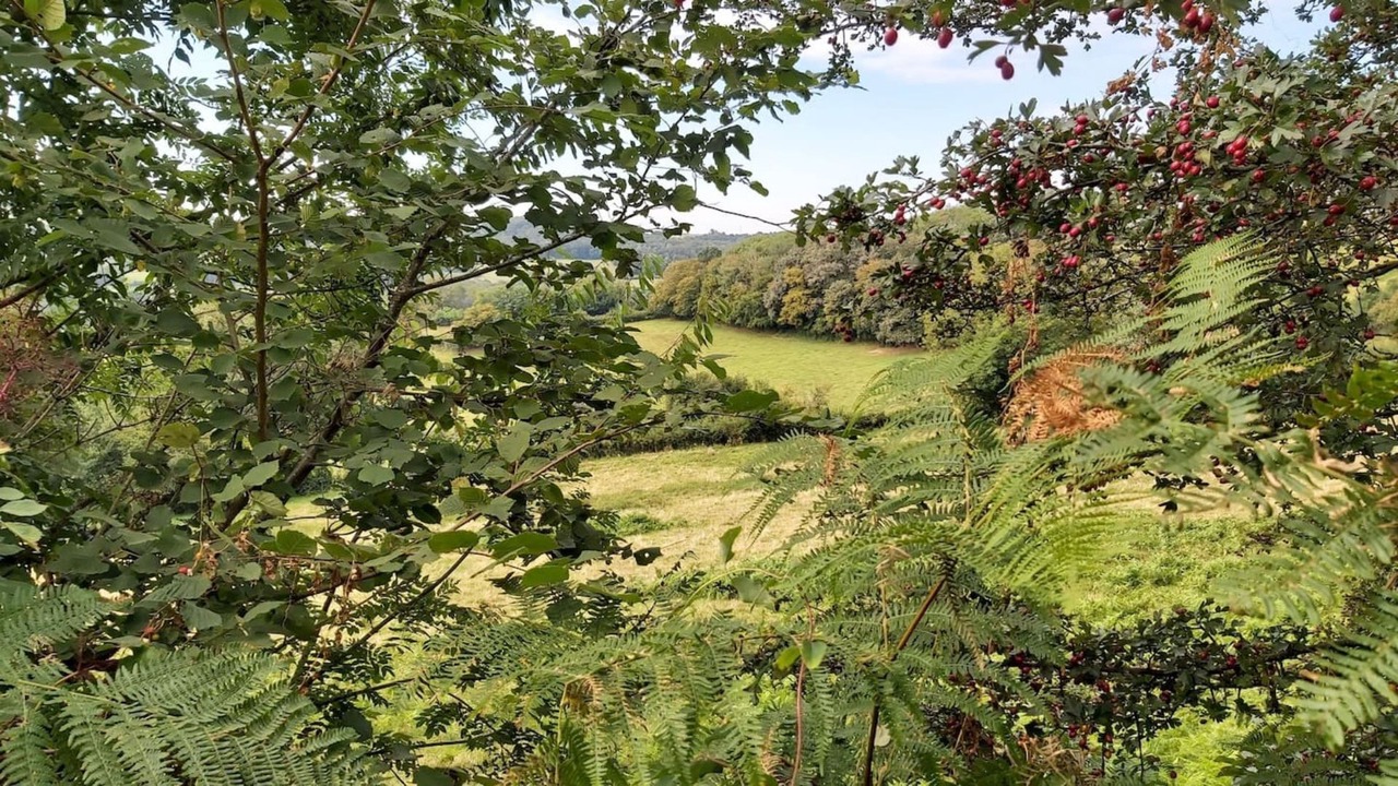 Photo of Outdoor in Montigny-en-Morvan
