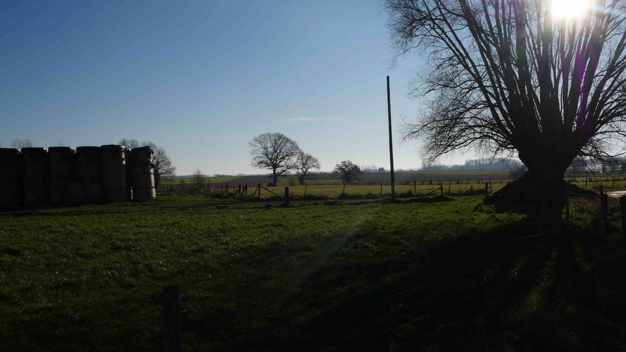 Photo of Outdoor in Flines-les-Mortagne