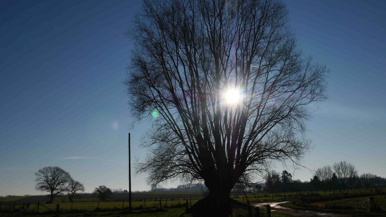 Photo of Outdoor in Flines-les-Mortagne