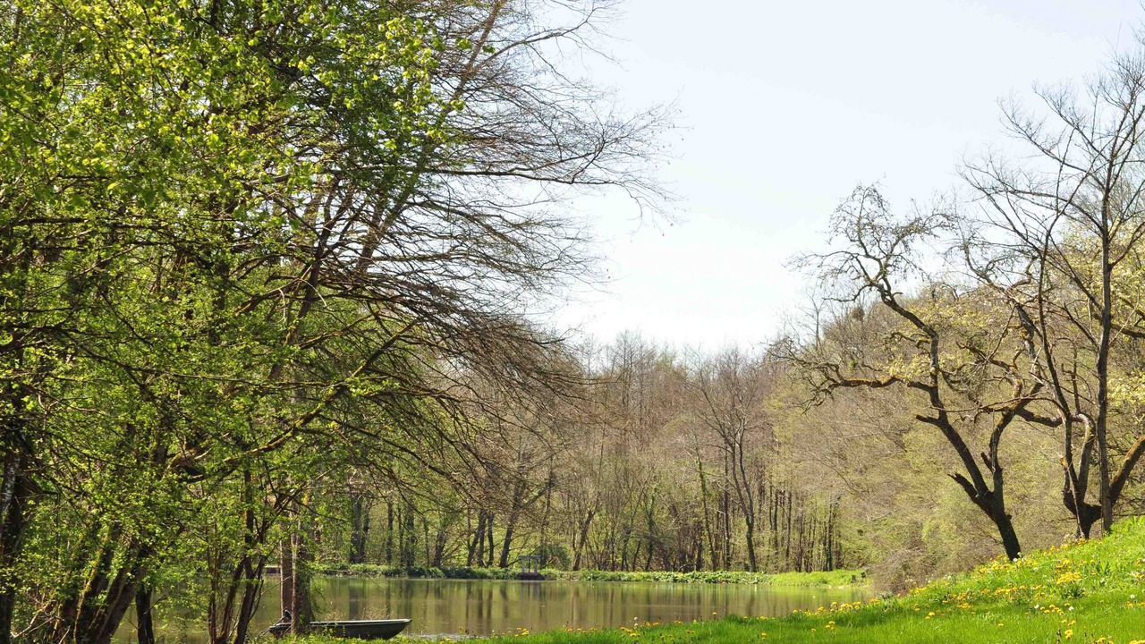 Photo of Others in Chalais