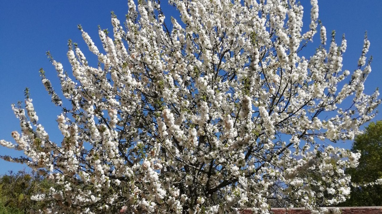 Photo of Outdoor in Chalais
