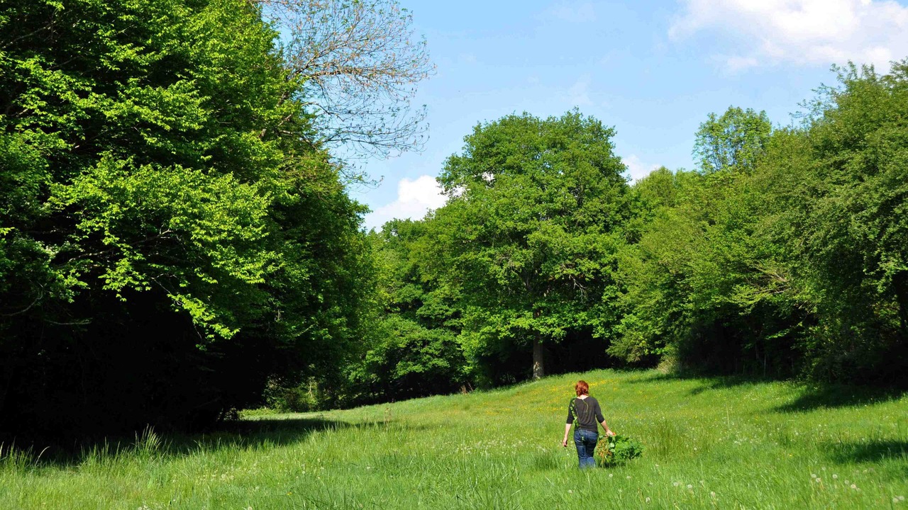 Photo of Others in Chalais