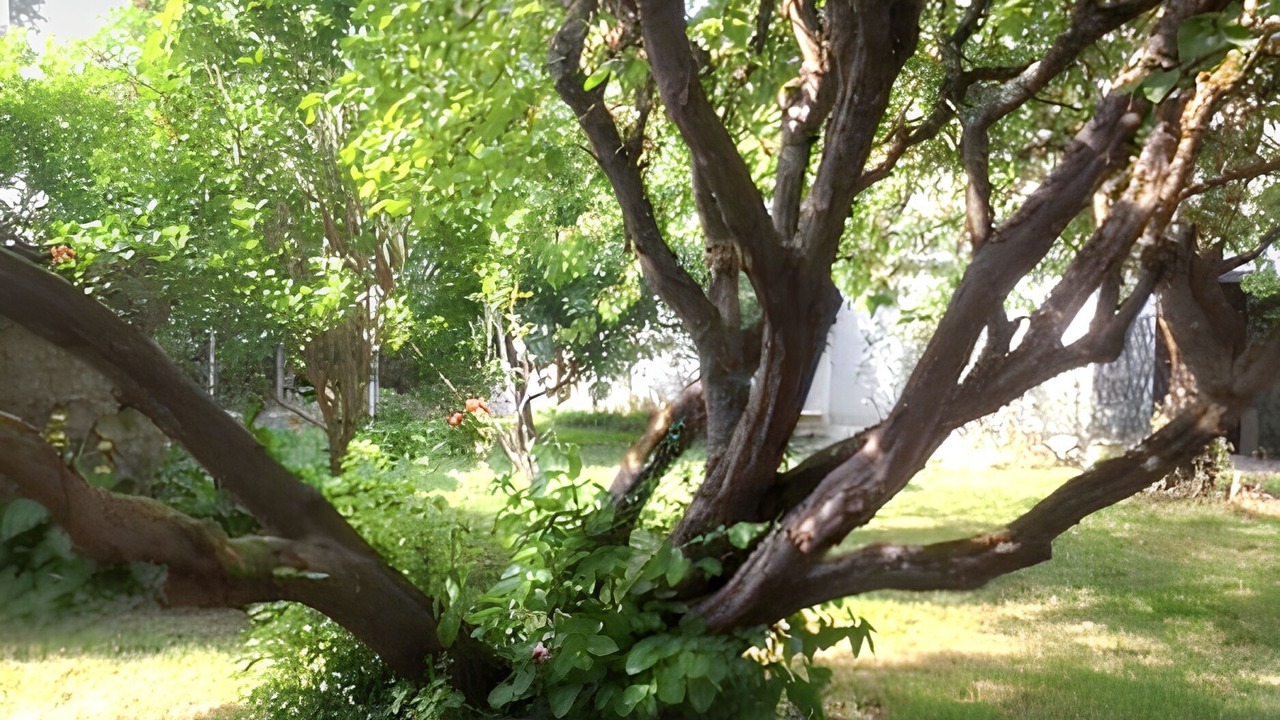Photo of Outdoor in Montlognon