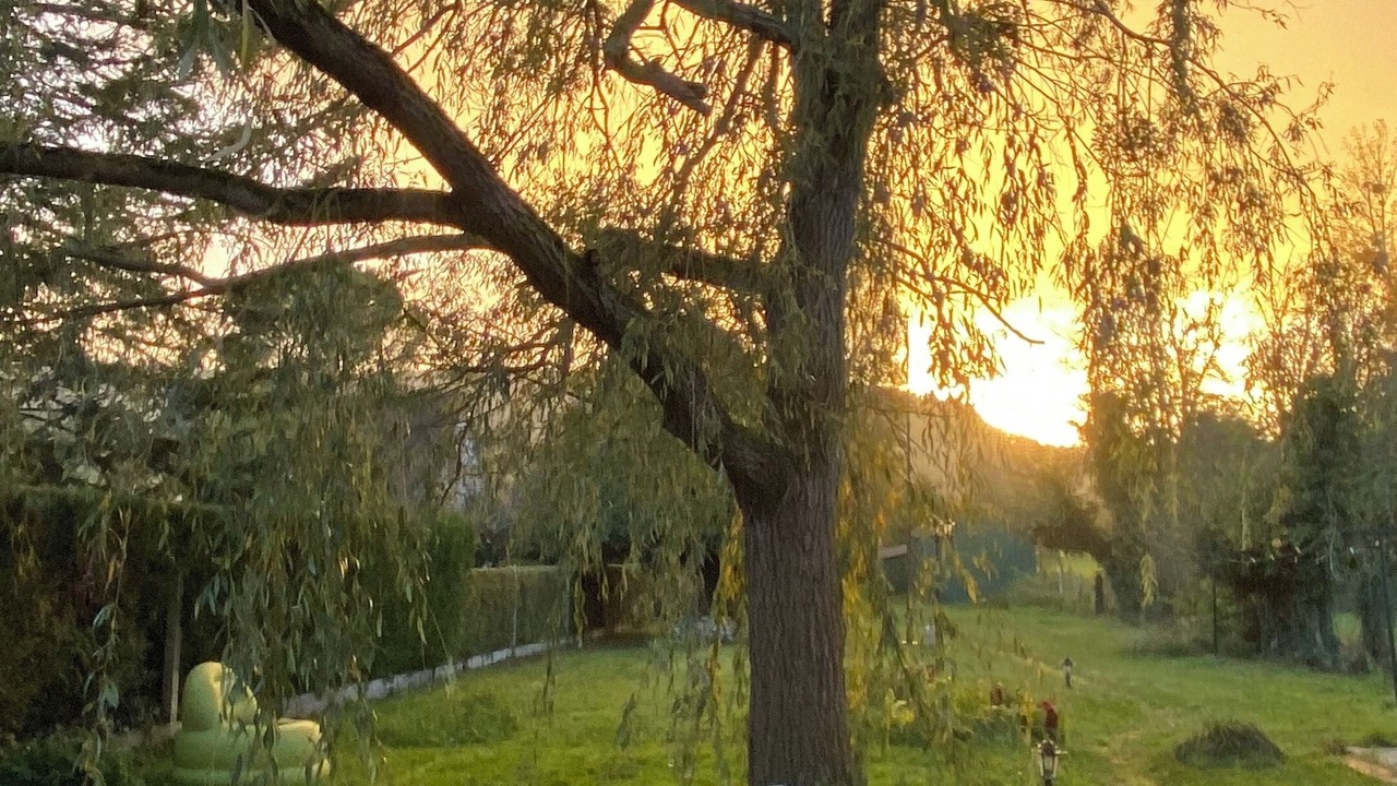 Photo of Others in Notre-Dame-de-l'Isle
