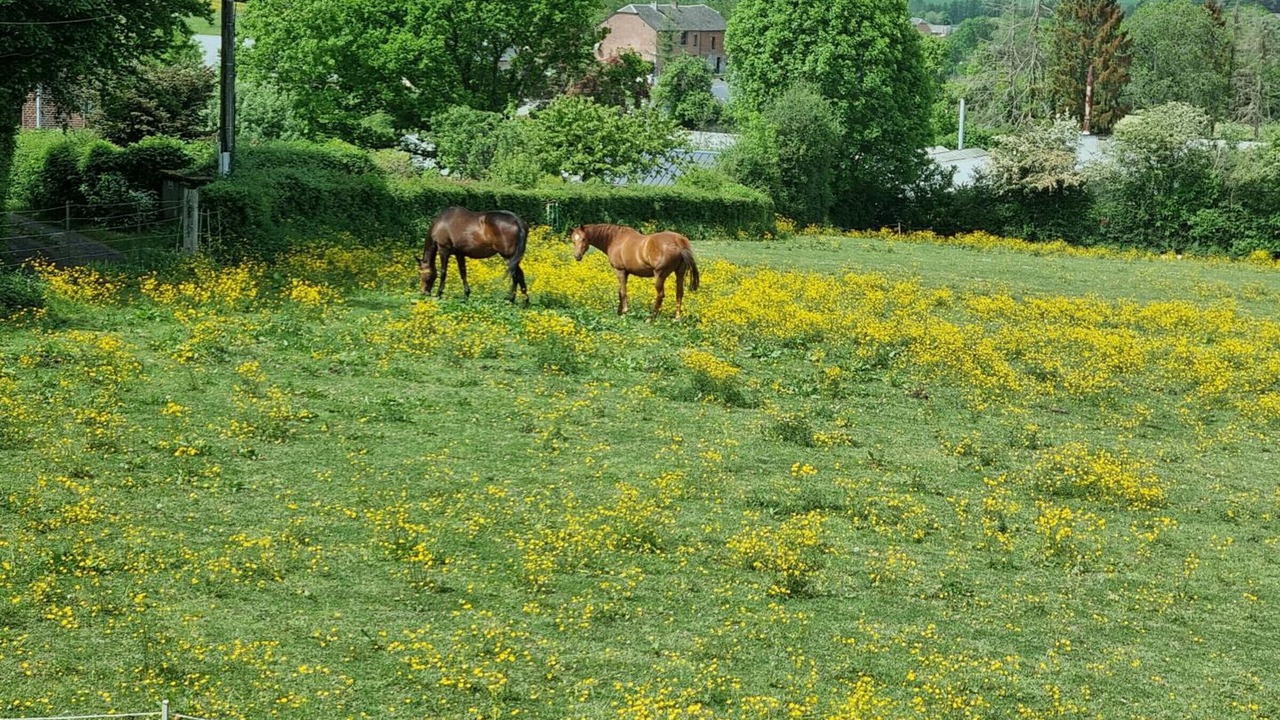 Photo of Outdoor in Liessies