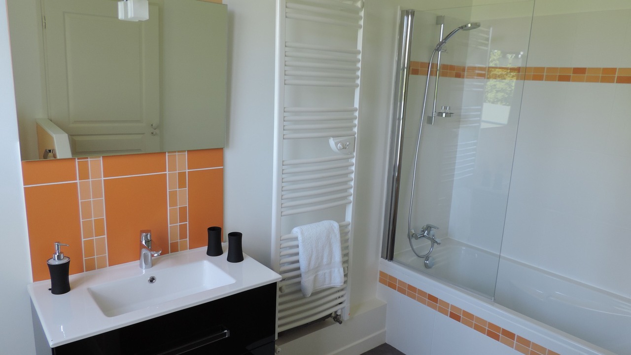 Photo of Bathroom in Saint-Branchs