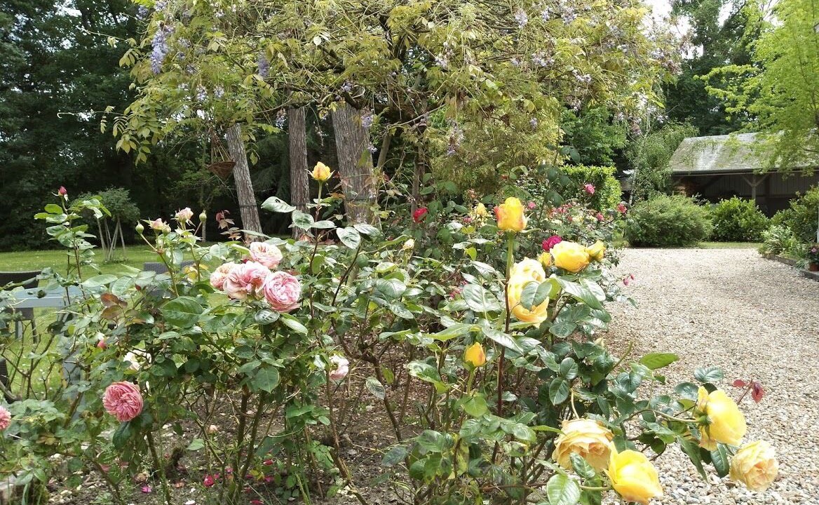 Photo of Outdoor in Saint-Branchs