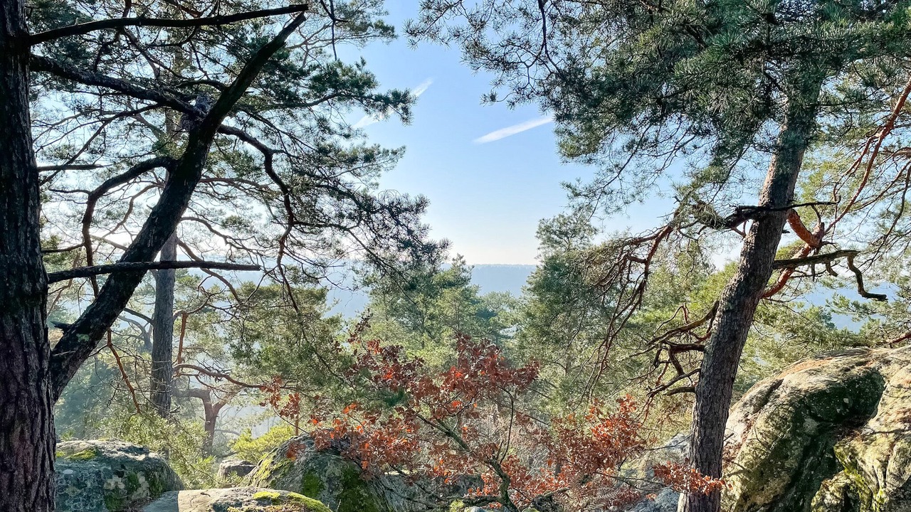 Photo of Outdoor in Boissy-aux-Cailles