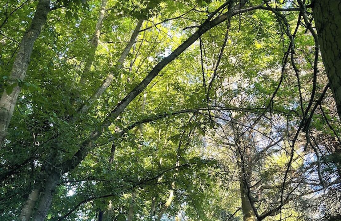 Photo of Outdoor in Hersin-Coupigny