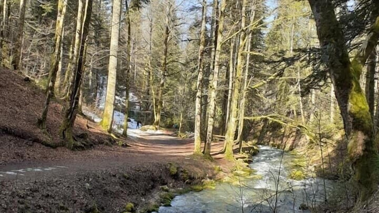 Photo of Outdoor in Montperreux