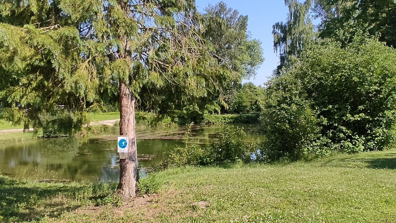 Photo of Others in Boofzheim