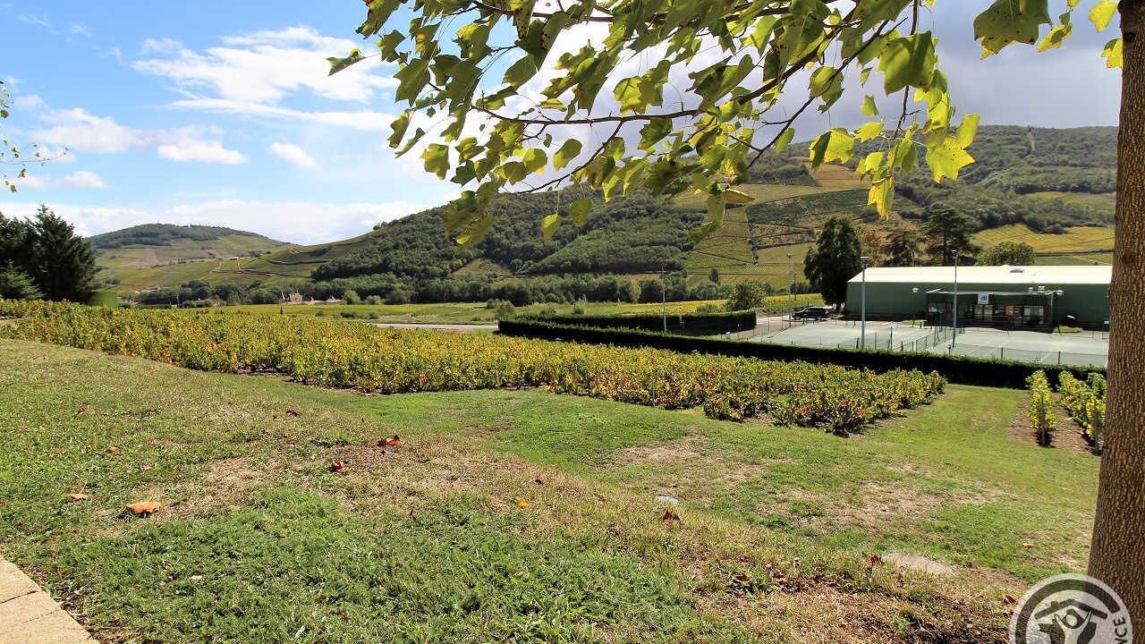 Photo of Outdoor in Quincie-en-Beaujolais