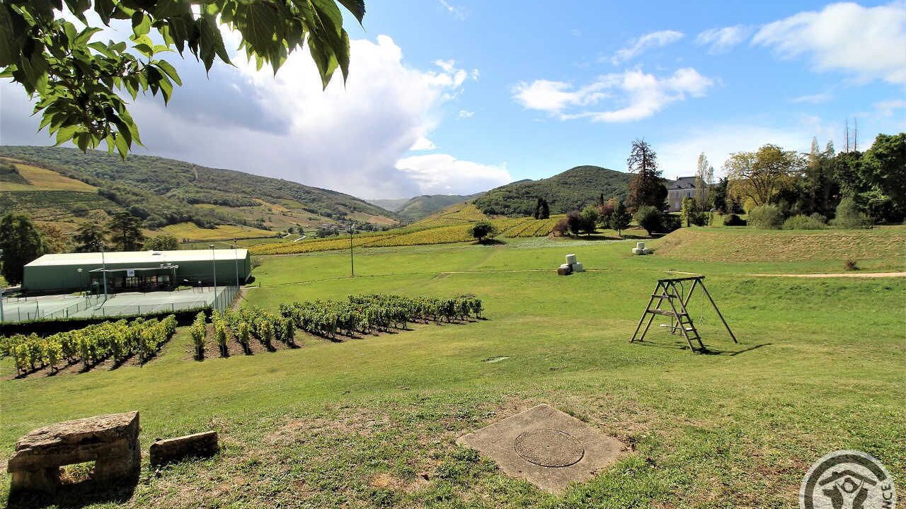 Photo of Outdoor in Quincie-en-Beaujolais