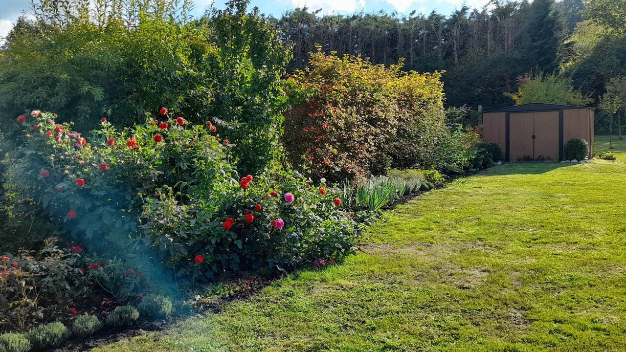 Photo of Outdoor in Fepin