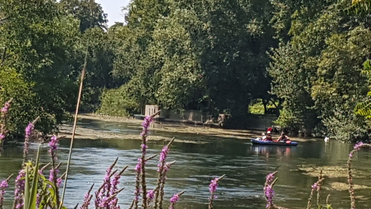 Photo of Outdoor in Fontainebleau