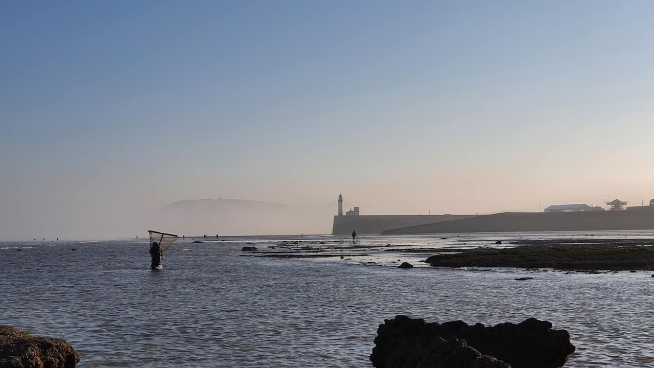 Photo of Others in Le Treport