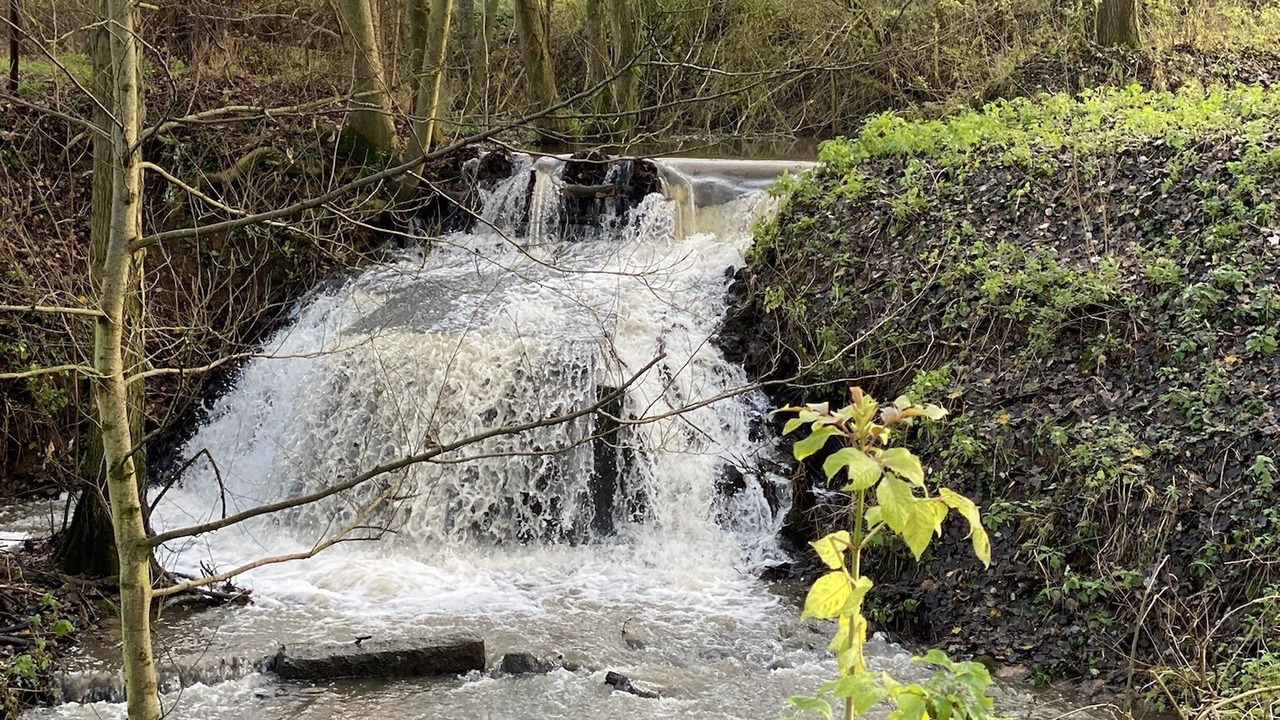 Photo of Outdoor in Romeries