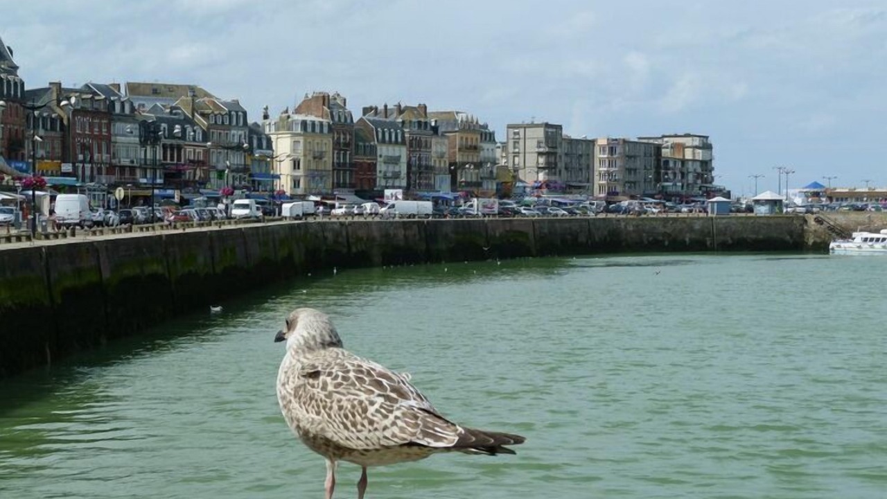 Photo of Others in Rieux