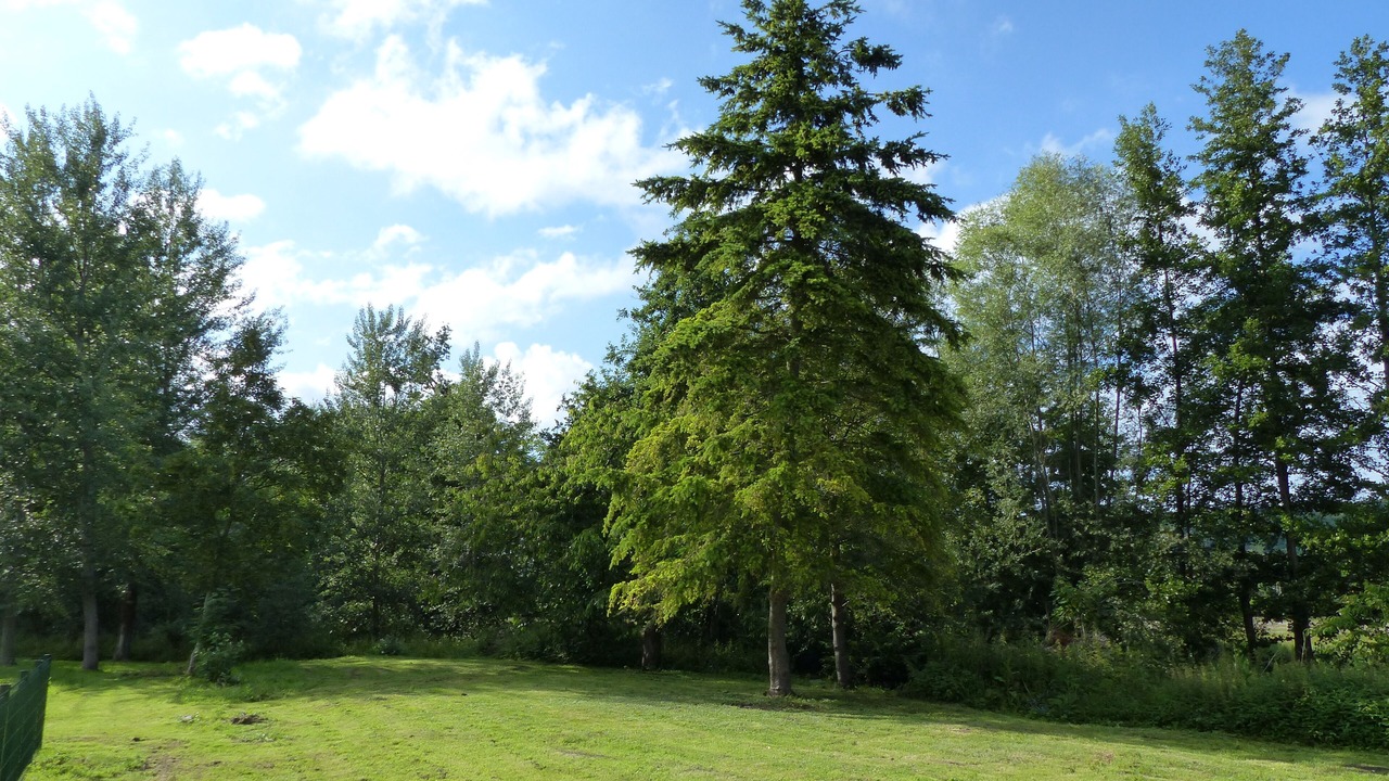 Photo of Outdoor in Blangy-sur-Bresle