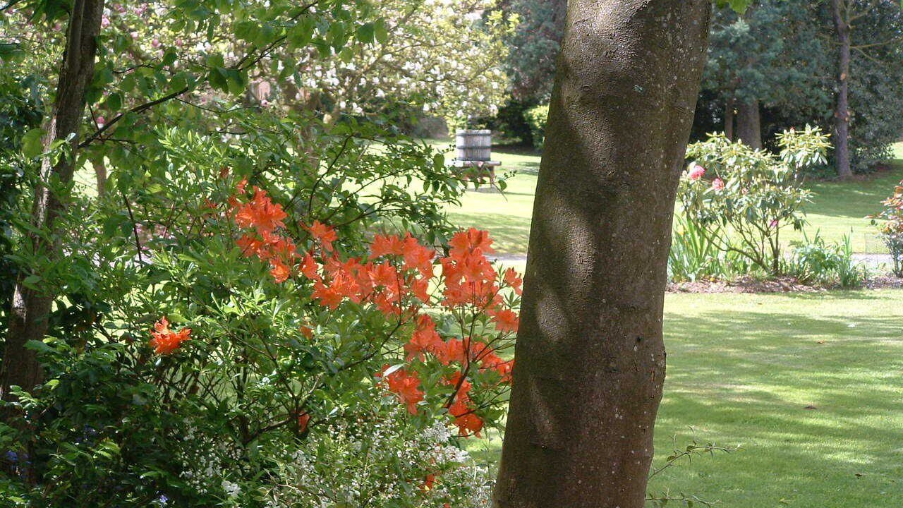 Photo of Outdoor in Friville-Escarbotin