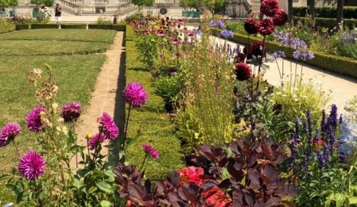 Photo of Outdoor in Le Chesnay
