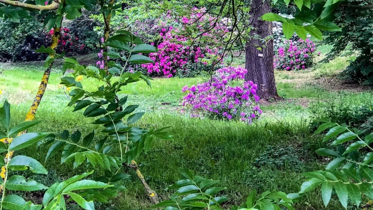 Photo of Outdoor in Le Chesnay