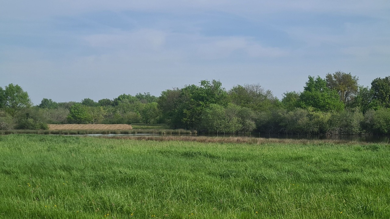 Photo of Outdoor in Migne