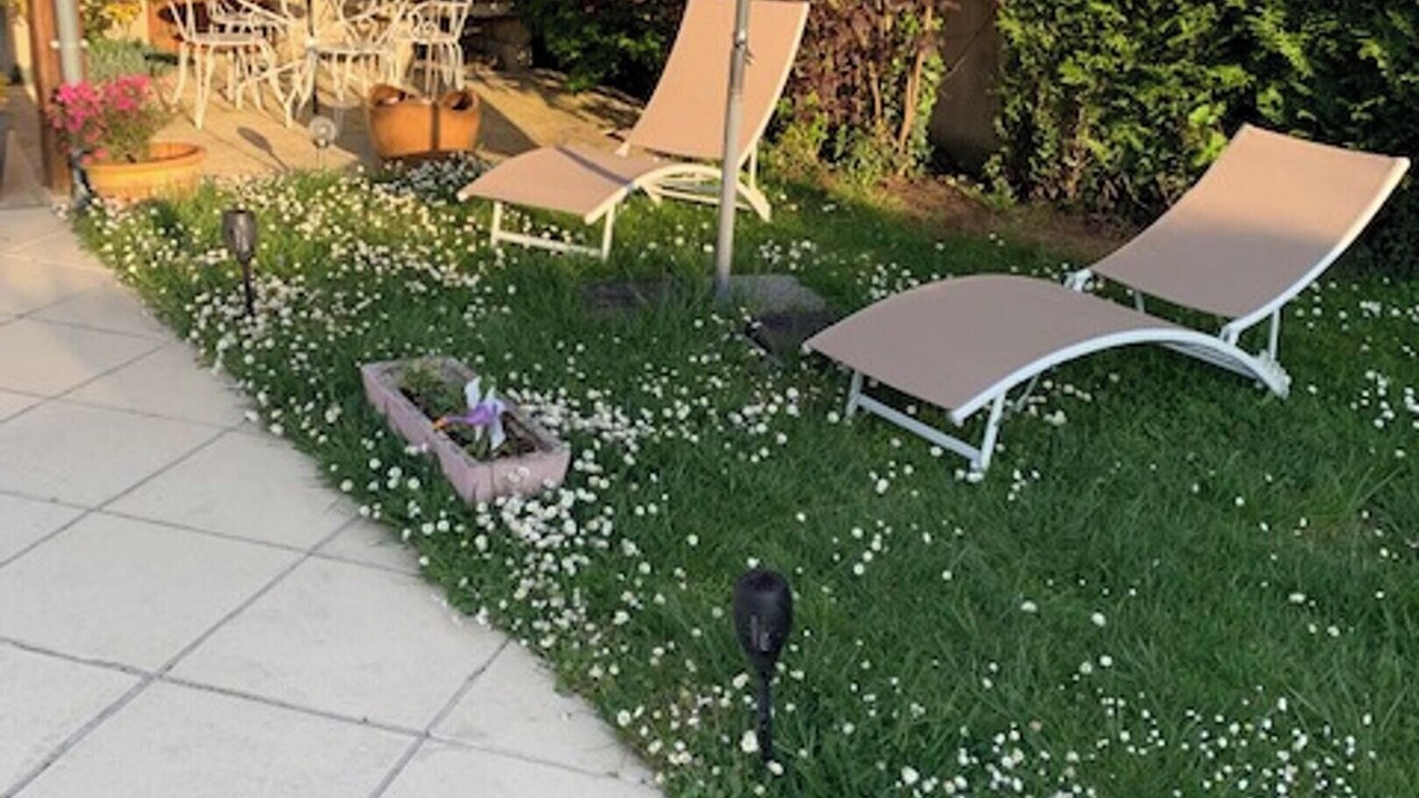 Photo of Patio Balcony in Omerville