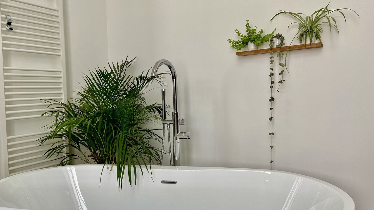Photo of Bathroom in Bastide Saint-Louis