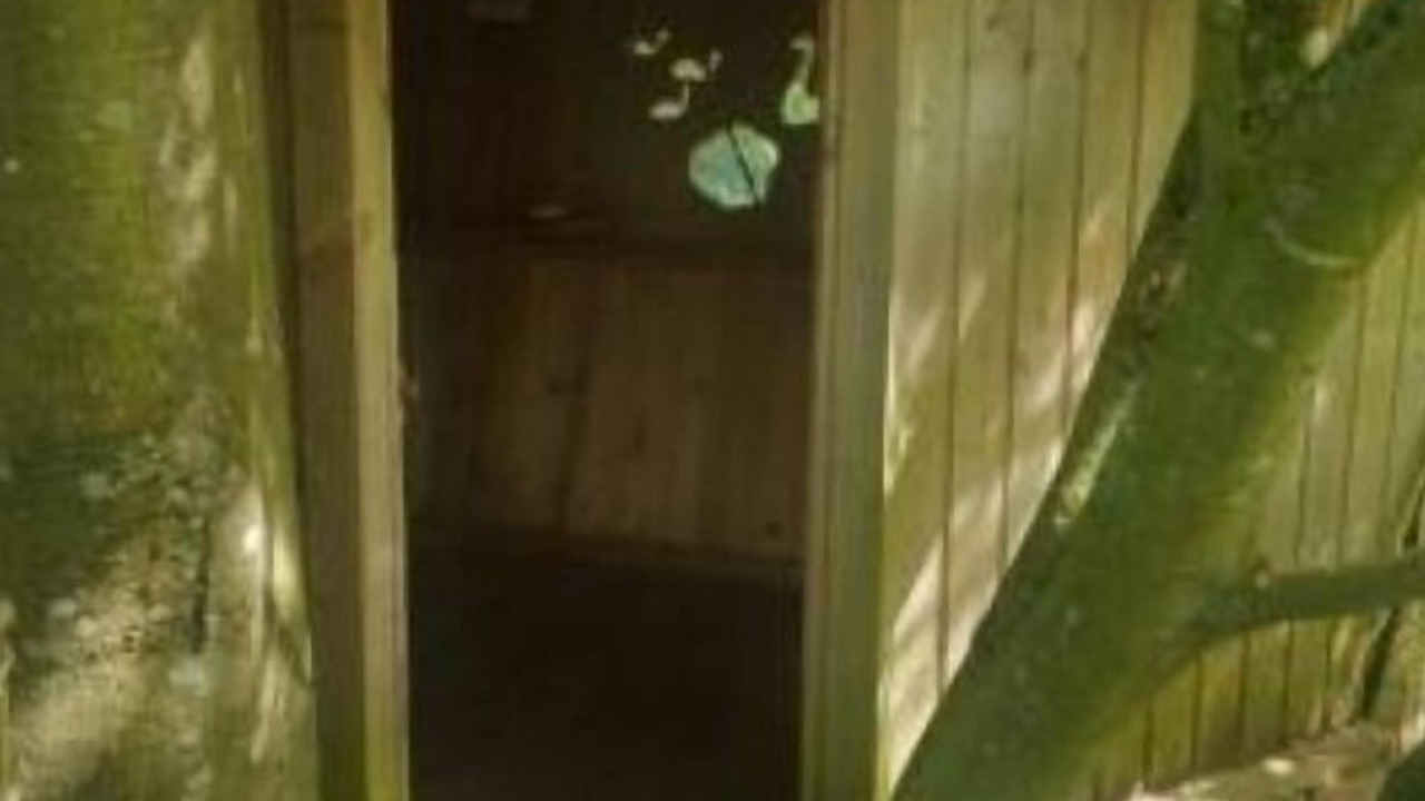 Photo of Outdoor in Wail