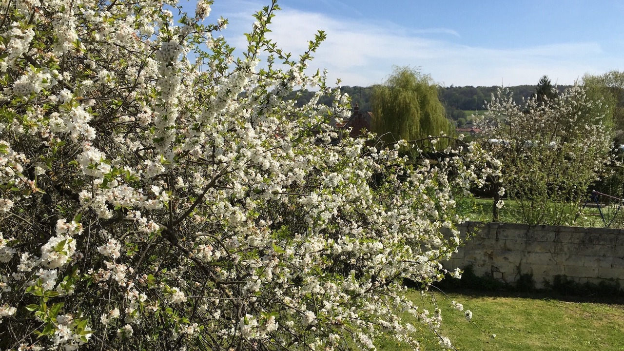 Photo of Outdoor in Elincourt-Sainte-Marguerite