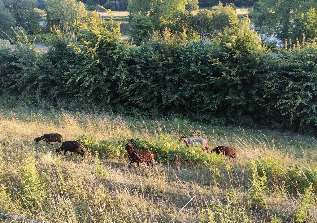 Photo of Others in Colleville