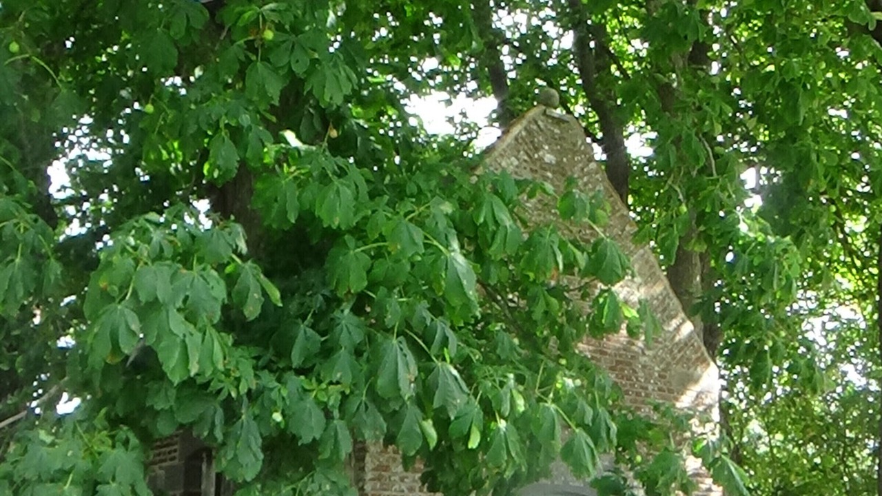 Photo of Outdoor in Leval