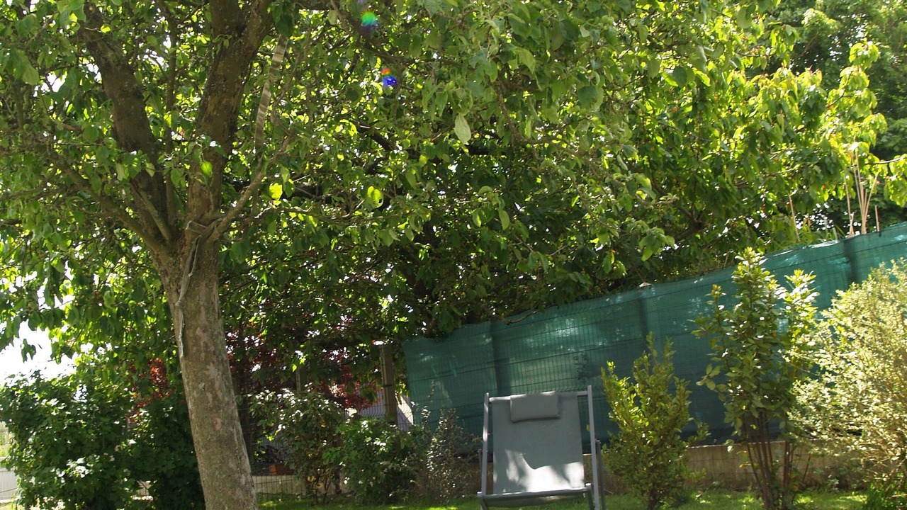 Photo of Outdoor in Saint-Jouin-Bruneval