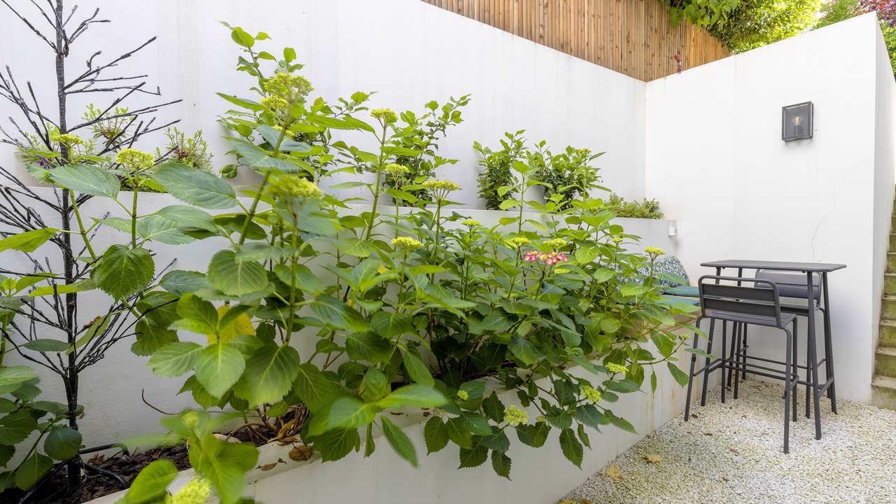 Photo of Outdoor in Sevres