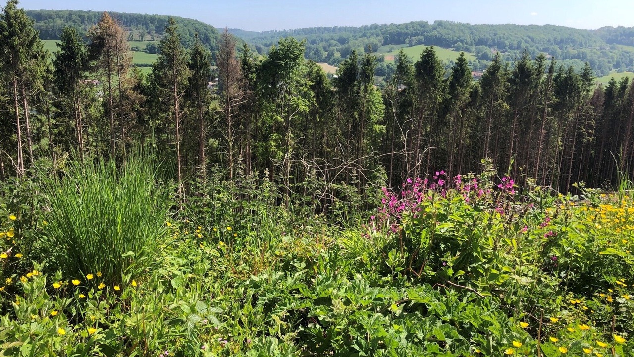 Photo of Outdoor in Cressy