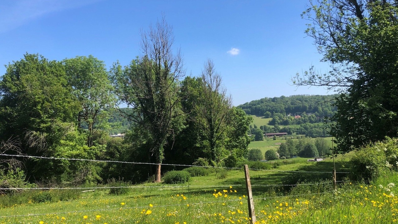 Photo of Outdoor in Cressy