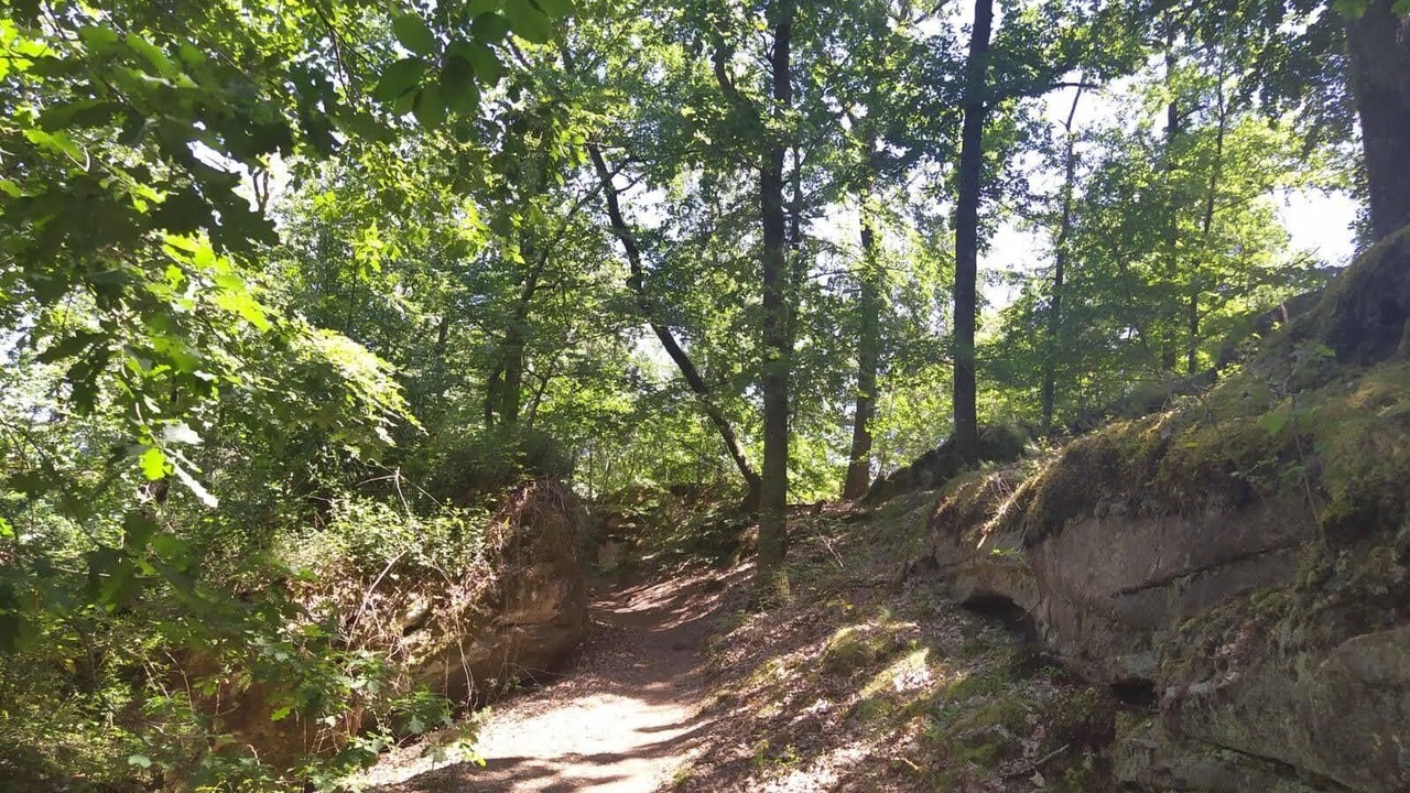 Photo of Outdoor in Moret-Loing-et-Orvanne
