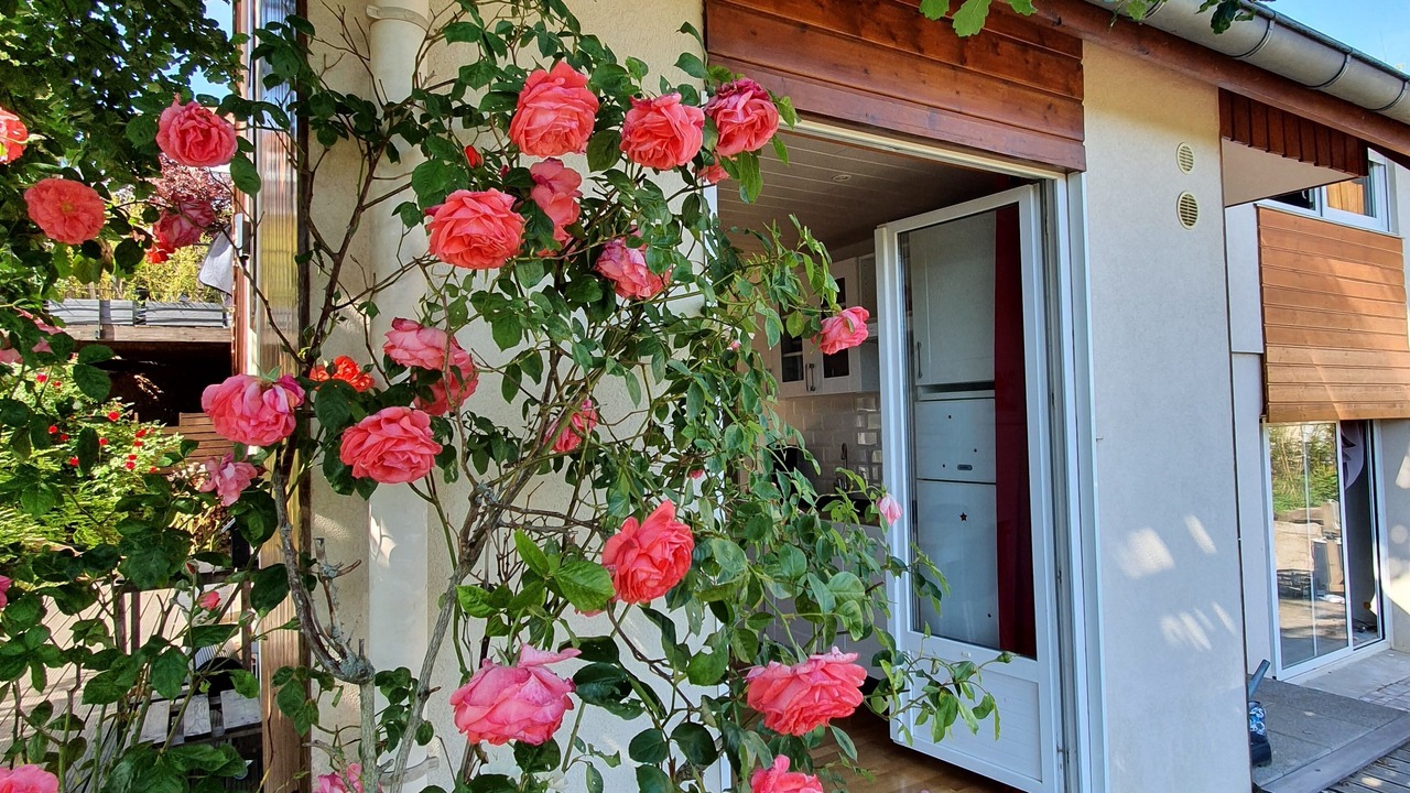 Photo of Outdoor in Barr