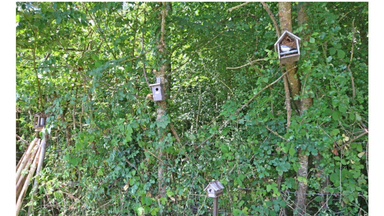 Photo of Outdoor in Illeville-sur-Montfort