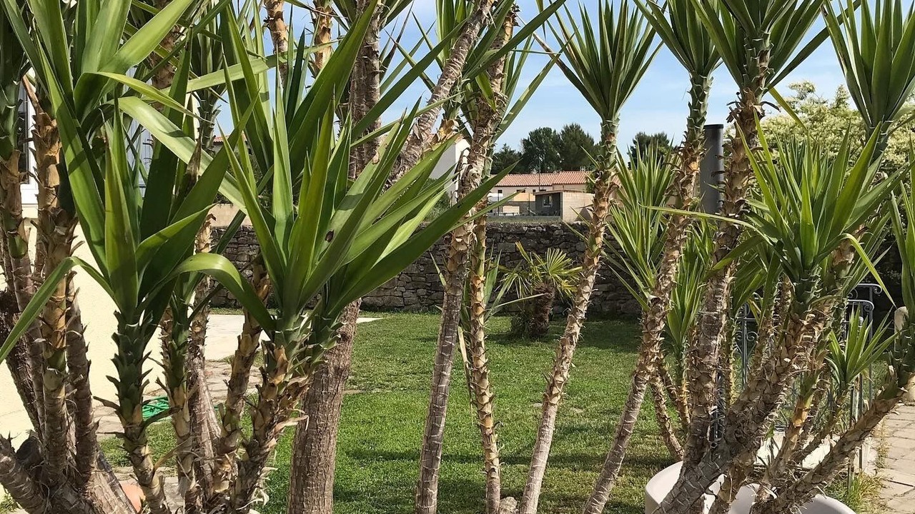 Photo of Outdoor in Saint-Bauzille-de-la-Sylve